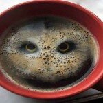 As 10 profissões que mais bebem café